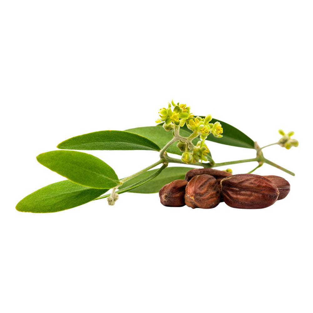 Jojoba oil