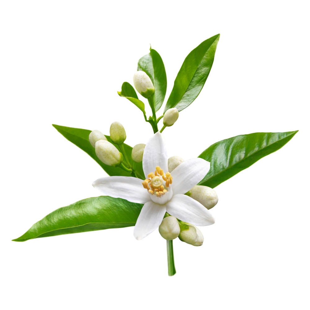 Neroli